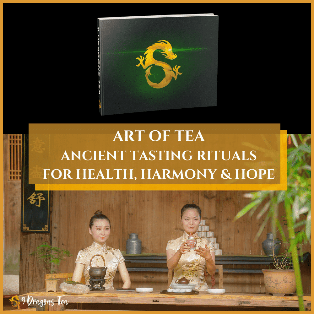 ART OF TEA BOOK 1 Art of Tea Book - 1st in a series accompanying book for Tea Documentary-cover image