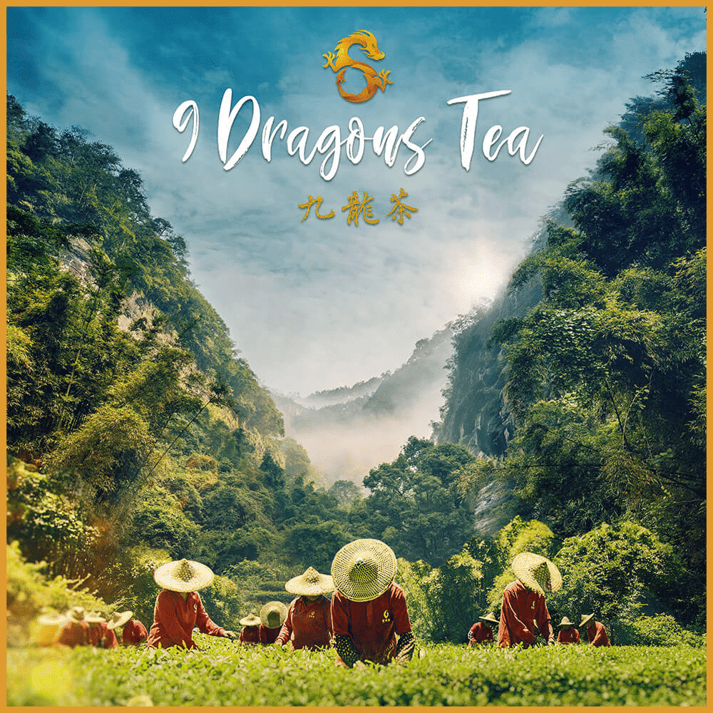 Heavenly Tea Field Poster 1 9 dragons tea - tea field poster - feature image